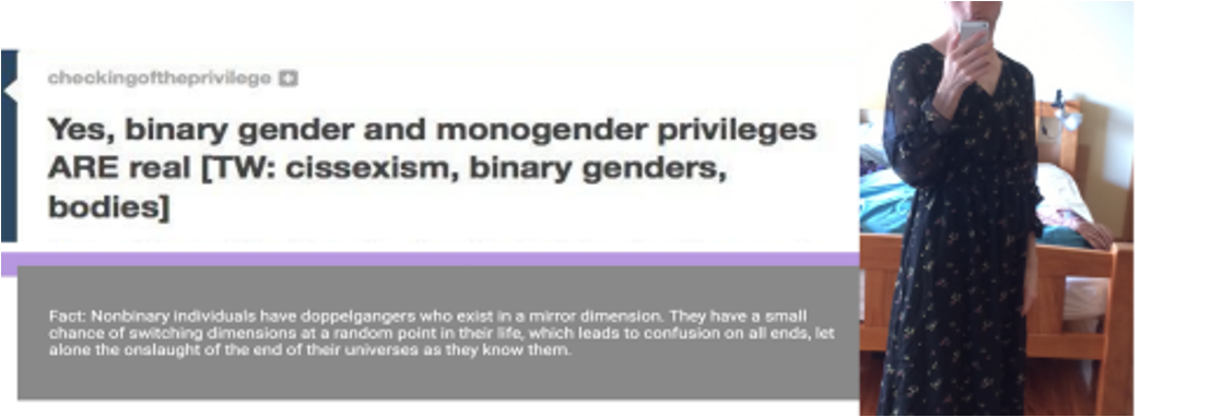 tumblr post reading "Yes, binary gender and monogender privileges ARE real (TW: Cissexism, binary genders, bodies)"