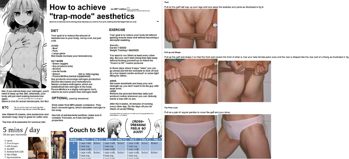 two images sourced from the internet. One is a set of questionable exercise and dietary guidelines for how to achieve a feminine ("trap") physique, among them directions to cut out red meat and consume semen. The other is a blog post with accompanying photographs explaining in detail how to tuck.