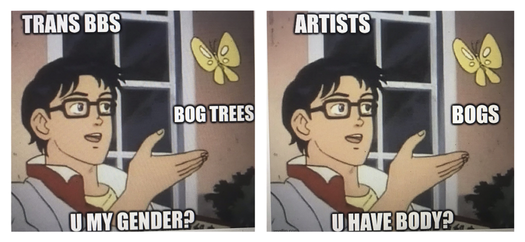 Two memes featuring an animated person with short dark hair gesturing at a yellow butterfly. On the left, the meme labels the person "trans bbs" and the butterfly "bog trees", with the bottom caption reading "U my gender?" On the right, the same image labels the person "artists" and the butterfly "bogs" with the caption reading "U have body?"