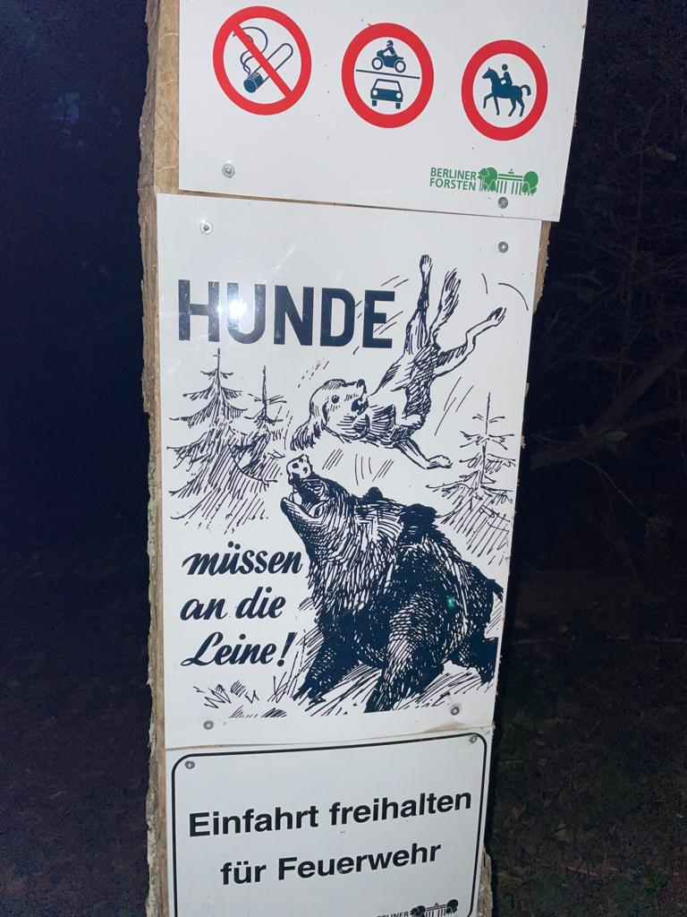 A sign photographed at night.  The text reads "Hunde muss an die Leine!" In English: "Dogs must stay on leash!" There is an illustration of a wild boar throwing a dog wildly into the air with its tusks, the dog looks terrified.